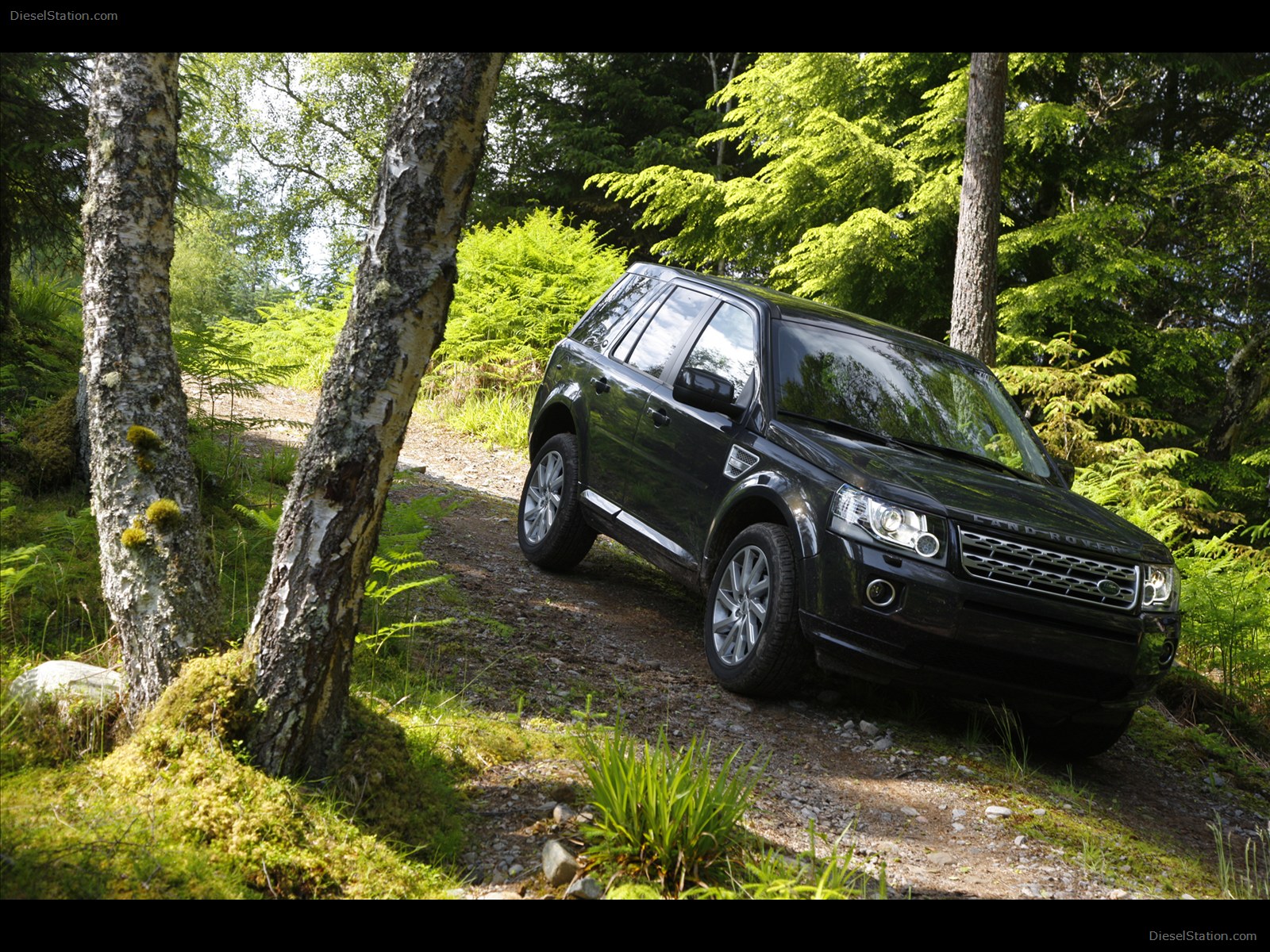 Land Rover Freelander 2 2013